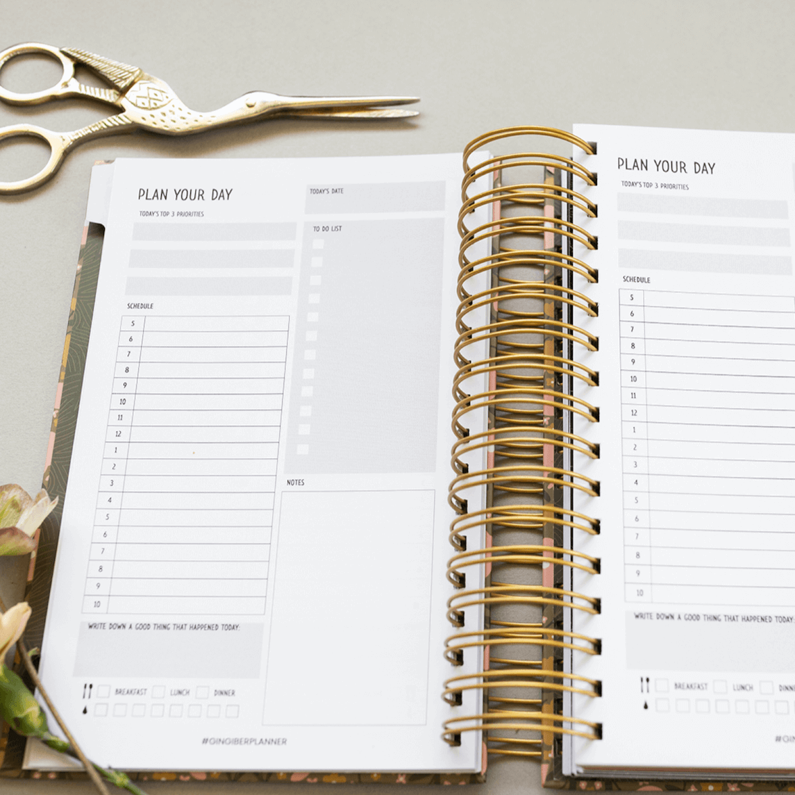 Evergreen Daily Planner