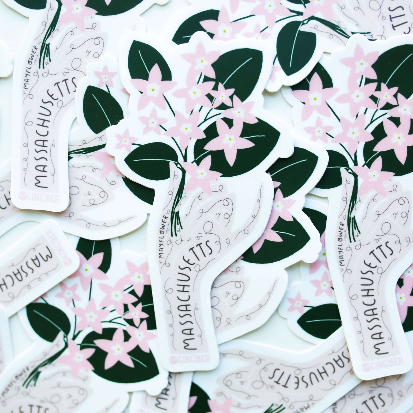 Massachusetts State Flower Sticker
