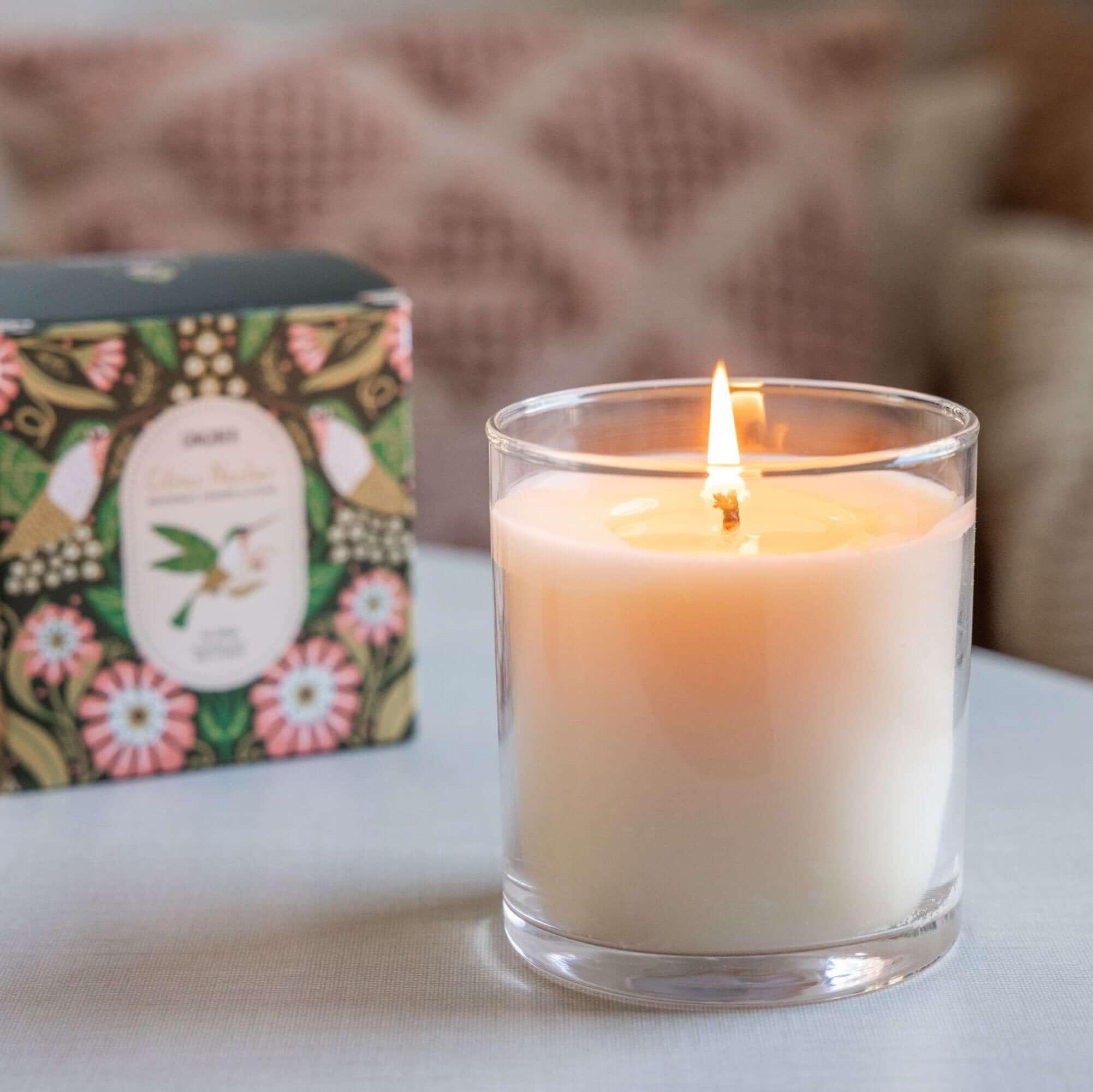 Glass cream-colored candle with green box and hummingbird illustration