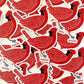 Cardinal Sticker