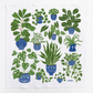Summer Tea Towel Bundle