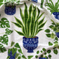 The Tea Towel Club