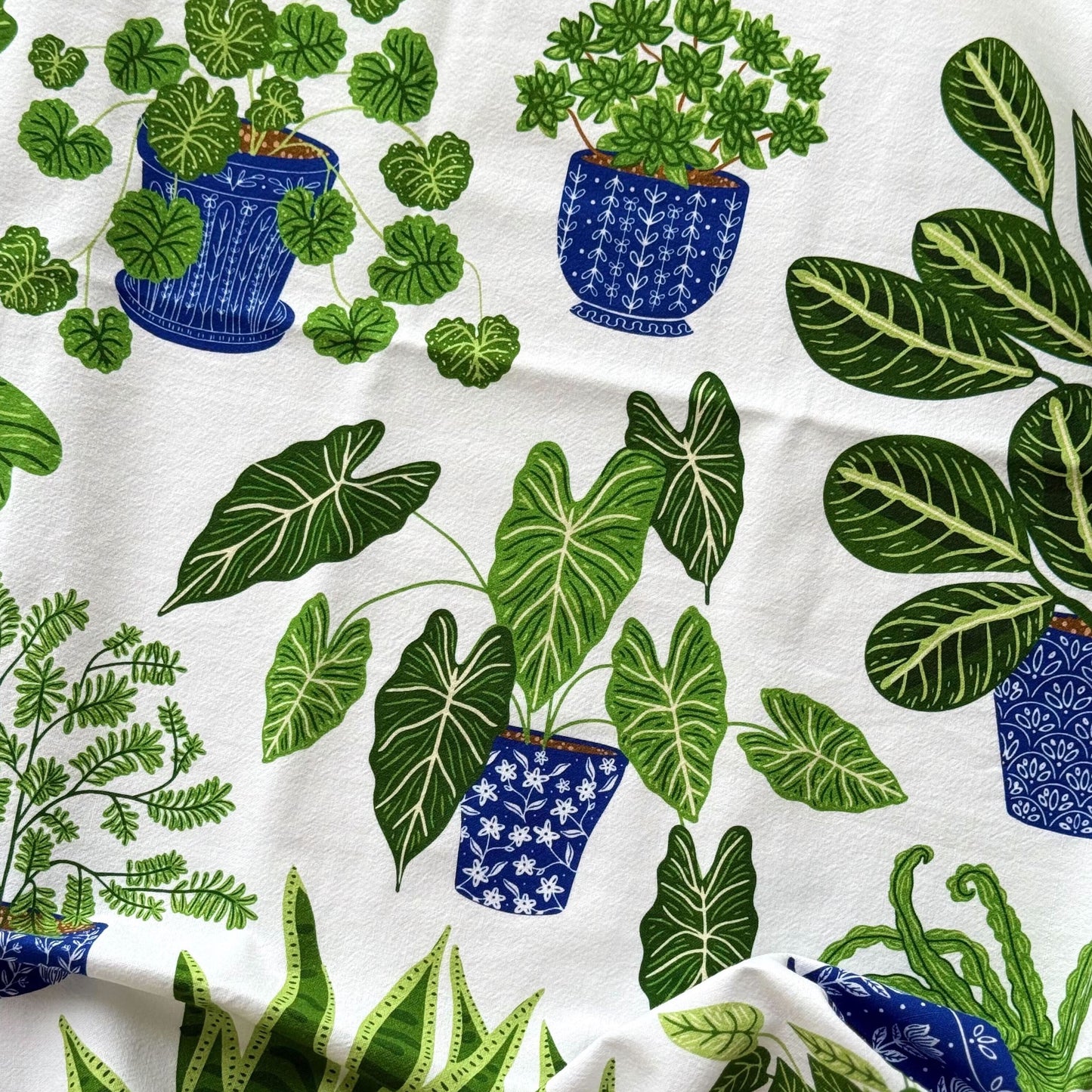 The Tea Towel Club