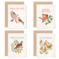 Holiday Birds Mixed Boxed Set