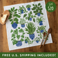 Monthly Tea Towel Subscription