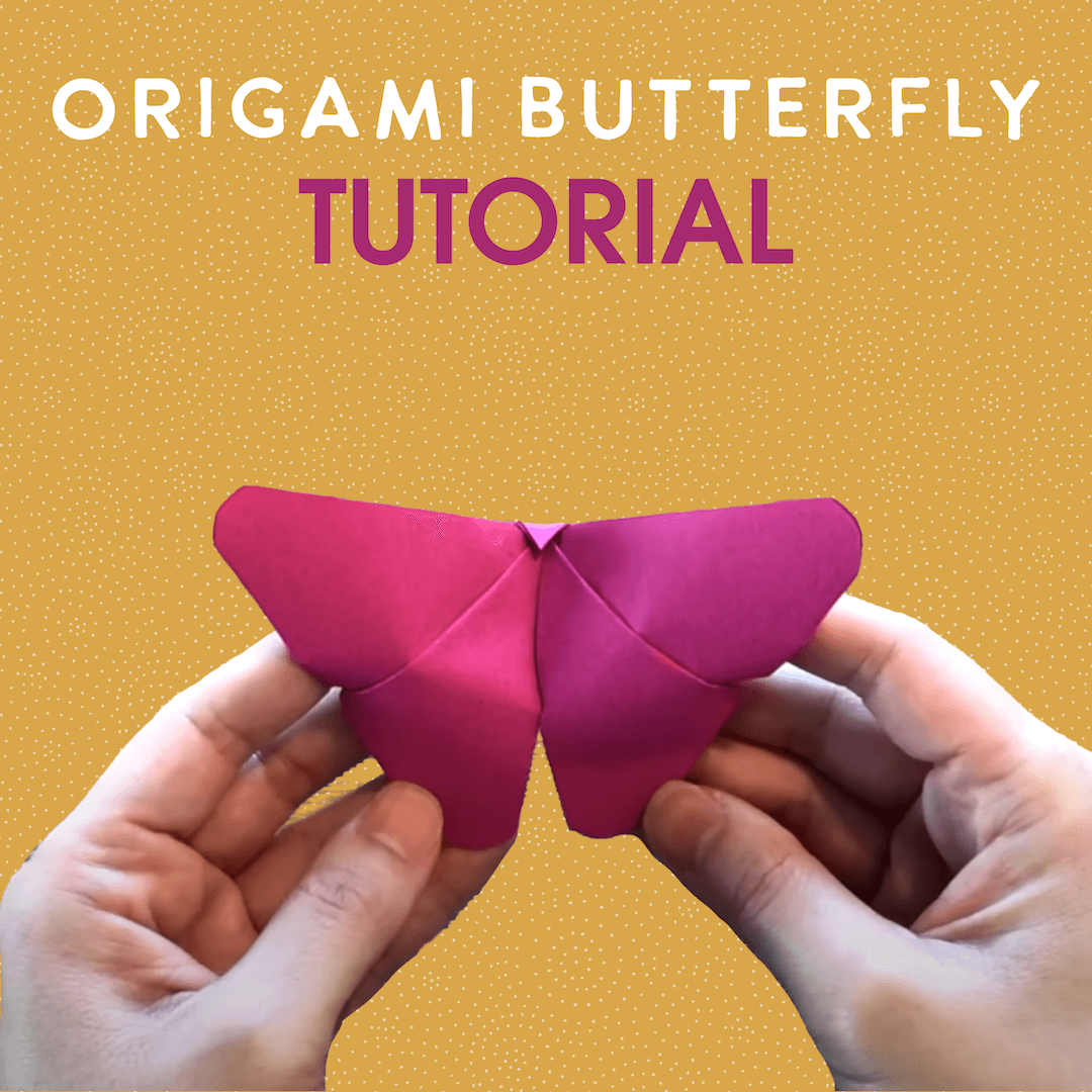 Origami Butterfly Tutorial