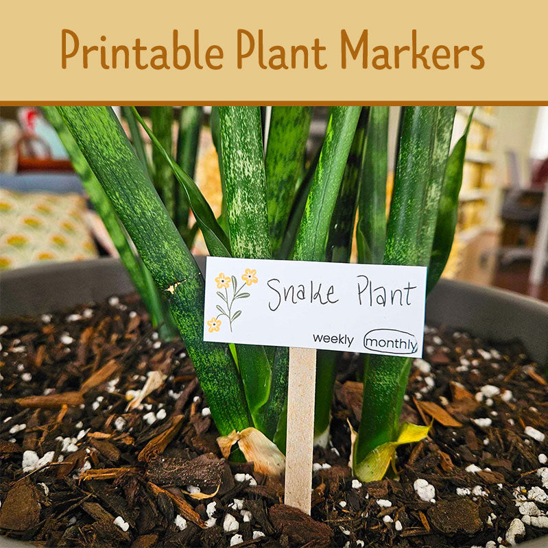 Snake plant in a pot with a printable plant marker labeled 'Snake Plant' on a blurred indoor background.