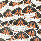 Dwell In Possibility Moth Sticker - Gingiber