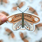 Butterfly Bundle