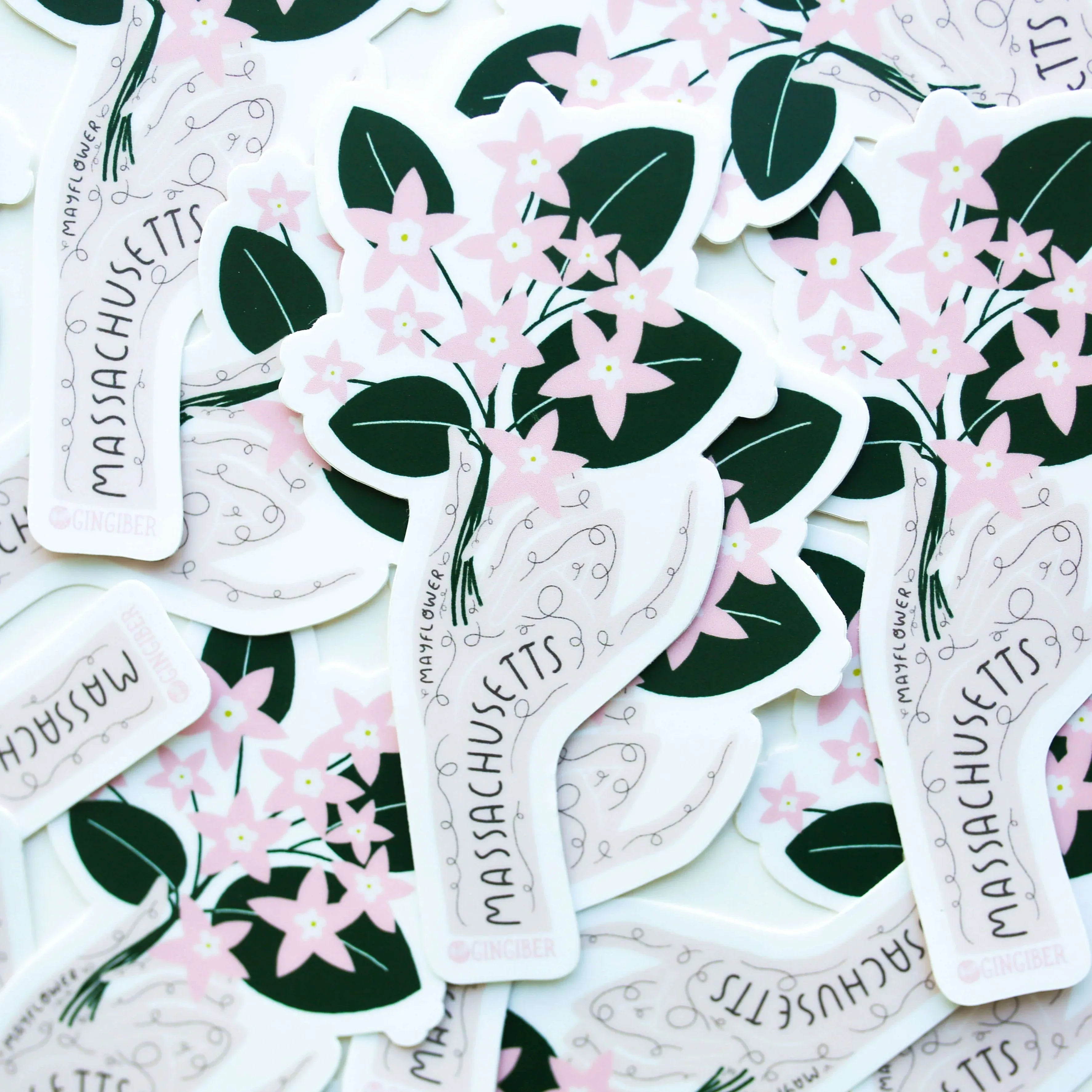 Massachusetts State Flower Sticker - Gingiber